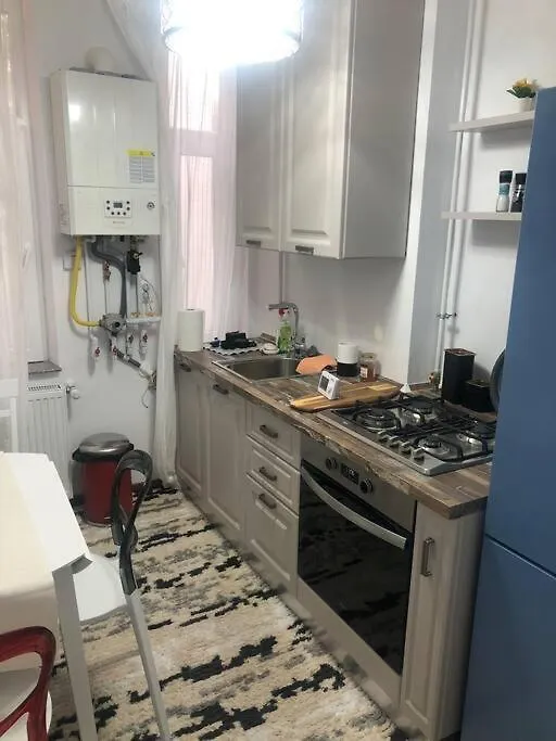 Dumbrava Rosie - Ultracentral Historical Residence Bucharest Apartment