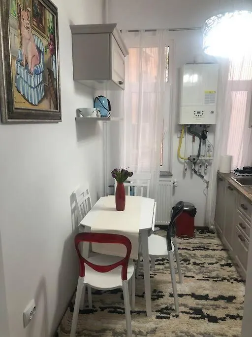 Apartment Dumbrava Rosie - Ultracentral Historical Residence Bucharest